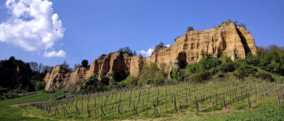 dummy image 1200x500